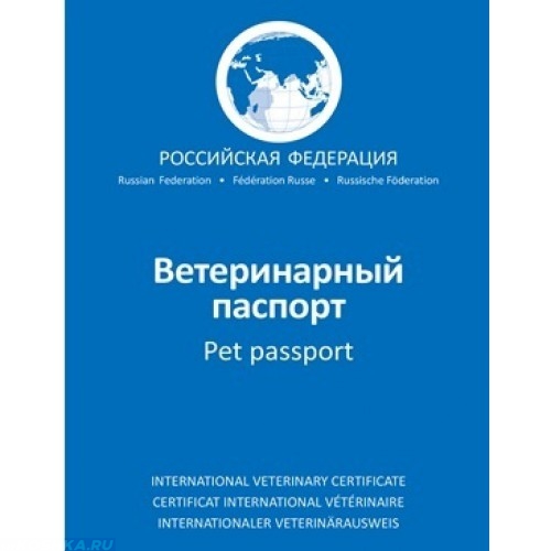 Синяя обложка ветеринарного паспорта